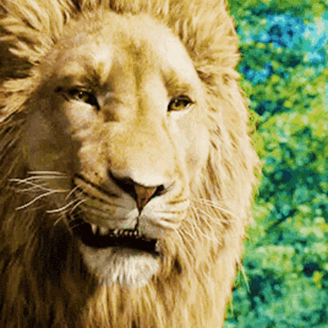  gif de leão rugindo.